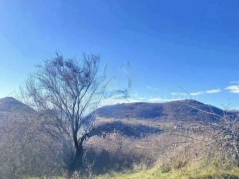 Shes 3 hektar e 30 ari / Prishtine