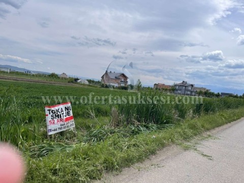 Shes 52 ari truall / Lipjan 